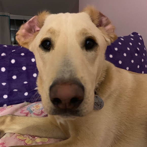 Meet your Posher, Gillian - Picture 5 of 5